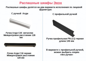 Шкаф для одежды со штангой Экон ЭШ1-РП-24-4-R с зеркалом в Сургуте - surgut.magazinmebel.ru | фото - изображение 2