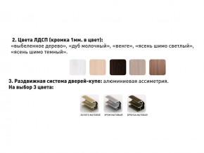 Шкаф-купе Акцент-Сим Д 1200-600 шимо светлый в Сургуте - surgut.magazinmebel.ru | фото - изображение 3