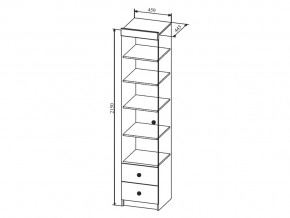 Шкаф Сканди ШД450.1 в Сургуте - surgut.magazinmebel.ru | фото - изображение 2